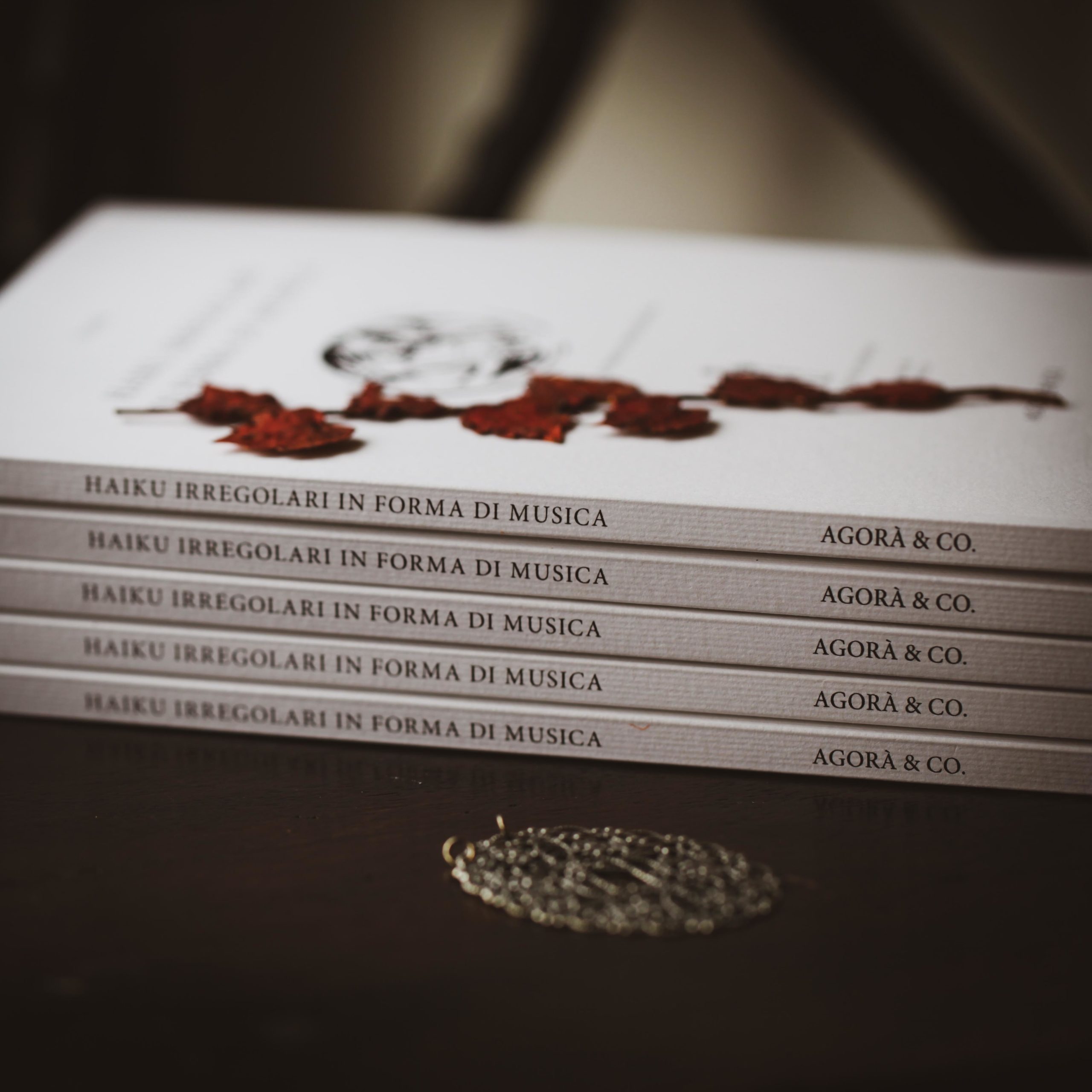 libro-haiku-irregolari-in-forma-di-musica-agora-edizioni-lugano-autore-aima-illustrazioni-diego-cinquegrana-fotografia-aima-lichtblau-angelo-tonelli-gabriella-cinti-2