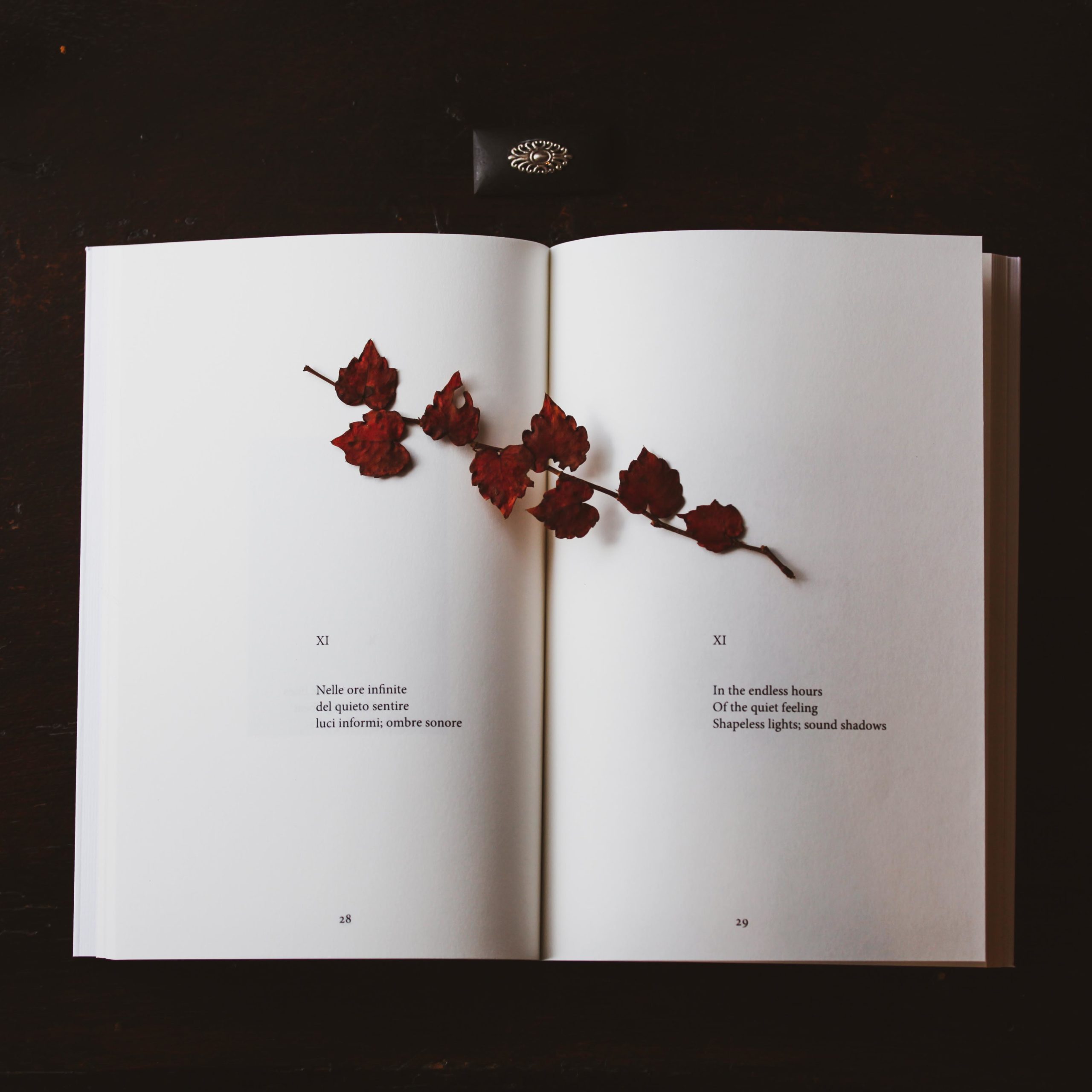 libro-haiku-irregolari-in-forma-di-musica-agora-edizioni-lugano-autore-aima-illustrazioni-diego-cinquegrana-fotografia-aima-lichtblau-angelo-tonelli-gabriella-cinti-4
