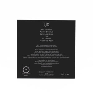 les-jumeaux-discordants-hrspqr-misty-circles-first-album-back-aima-lichtblau