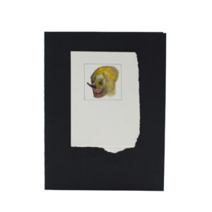 oxyuranus-caverna-delle-rose-aima-lichtblau-diego-cinquegrana-2-1024x1024